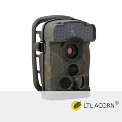 Ltl Alcorn