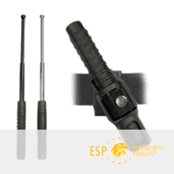 esp-security